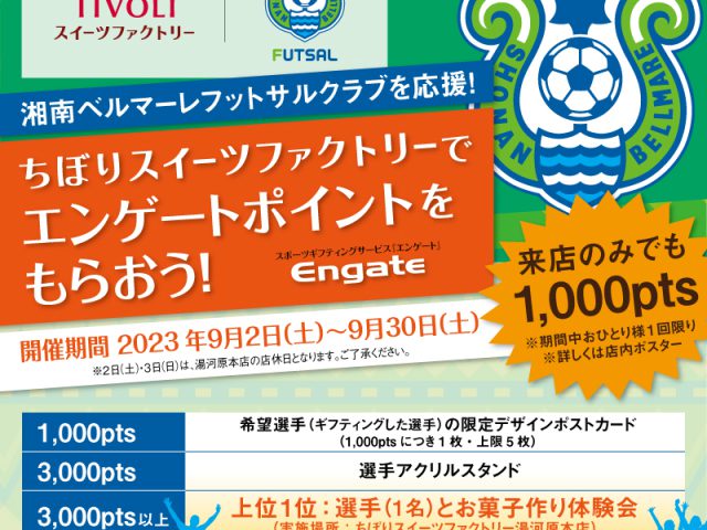 湘南ベルマーレフットサルを応援しよう!